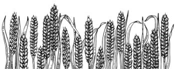 Wheat Abstracts 22xAI, 7xSVG Wheat Abstracts 22xAI, 7xSVG
