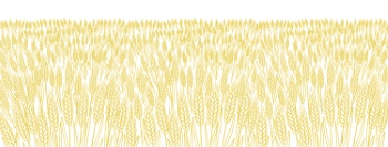 Wheat Abstracts 22xAI, 7xSVG Wheat Abstracts 22xAI, 7xSVG