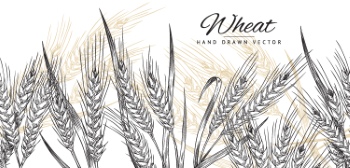 Wheat Abstracts 22xAI, 7xSVG Wheat Abstracts 22xAI, 7xSVG