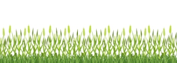 Wheat Abstracts 22xAI, 7xSVG Wheat Abstracts 22xAI, 7xSVG