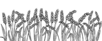Wheat Abstracts 22xAI, 7xSVG Wheat Abstracts 22xAI, 7xSVG