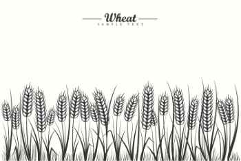 Wheat Abstracts 22xAI, 7xSVG Wheat Abstracts 22xAI, 7xSVG