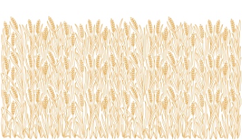 Wheat Abstracts 22xAI, 7xSVG Wheat Abstracts 22xAI, 7xSVG