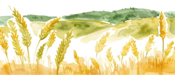 Wheat Abstracts 22xAI, 7xSVG Wheat Abstracts 22xAI, 7xSVG
