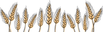 Wheat Abstracts 22xAI, 7xSVG Wheat Abstracts 22xAI, 7xSVG