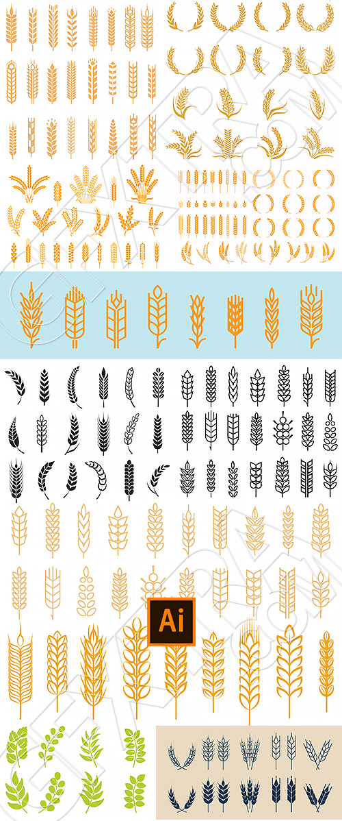 Wheat Ear Icons & Design Elements 30xAI