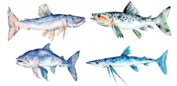 Nautical Watercolor Fishes 35xAI