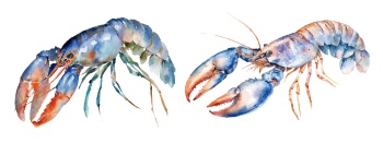Nautical Watercolor Fishes 35xAI
