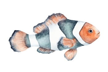 Nautical Watercolor Fishes 35xAI