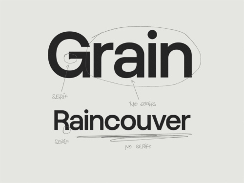Grain - 18 Styles + Variable Font Family