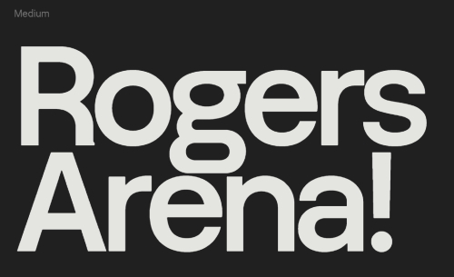 Grain - 18 Styles + Variable Font Family Grain - 18 Styles + Variable Font Family