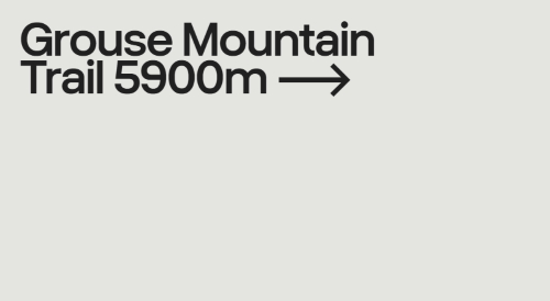 Grain - 18 Styles + Variable Font Family Grain - 18 Styles + Variable Font Family