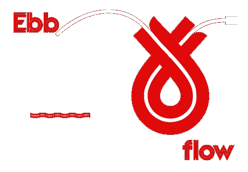 Voyages Display Custom Font for Virgin Voyages OTF