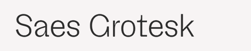 Saes Grotesk - 18 Styles Font Family