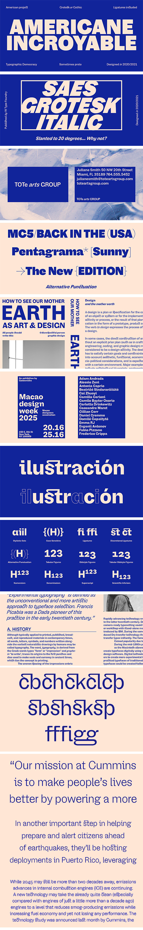 Saes Grotesk - 18 Styles Font Family