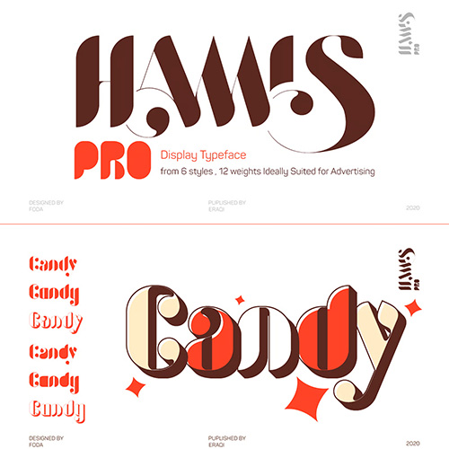 Hamis Pro - 12 Styles Font Family by Fo Da