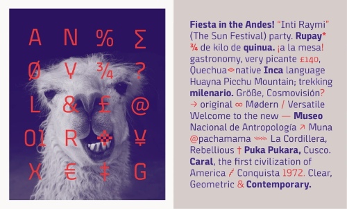 Tocapu - 7 Styles + Variable Font Family
