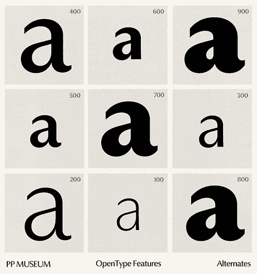PP Museum - 18 Static + 2 Variable Fonts