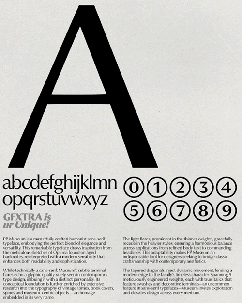 PP Museum - 18 Static + 2 Variable Fonts