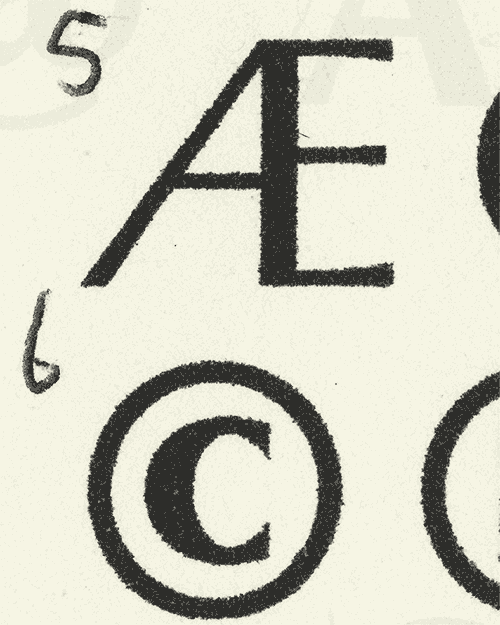 PP Museum - 18 Static + 2 Variable Fonts