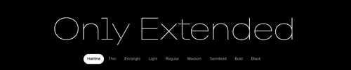 Only Extended - 18 Styles + Variable Font Family v4.000