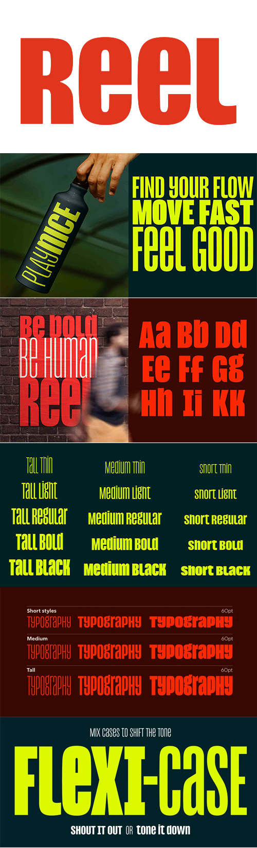 Reel - 15 Styles NEW Font Family by Jamie Clark, June 2026