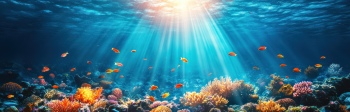 Underwater Kaleidoscope Marine Life 19xJPEG