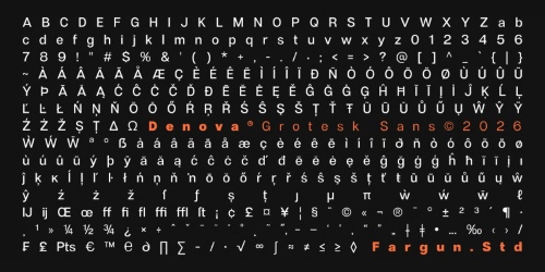 Denova Sans - 90 Static Styles + Variable Font Family