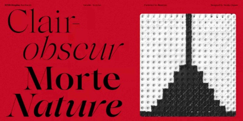Ater Display - 16 Static Styles + Variable Font Family Ater Display - 16 Static Styles + Variable Font Family