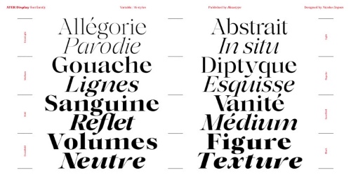 Ater Display - 16 Static Styles + Variable Font Family Ater Display - 16 Static Styles + Variable Font Family