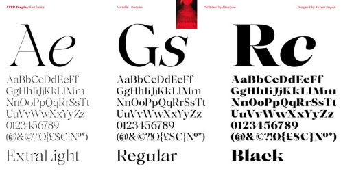 Ater Display - 16 Static Styles + Variable Font Family Ater Display - 16 Static Styles + Variable Font Family