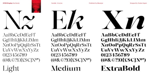 Ater Display - 16 Static Styles + Variable Font Family Ater Display - 16 Static Styles + Variable Font Family