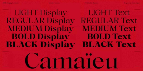 Ater Display - 16 Static Styles + Variable Font Family Ater Display - 16 Static Styles + Variable Font Family