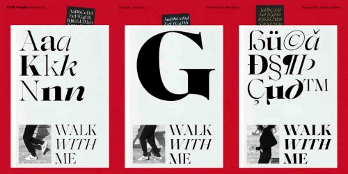 Ater Display - 16 Static Styles + Variable Font Family Ater Display - 16 Static Styles + Variable Font Family