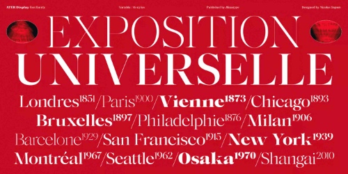 Ater Display - 16 Static Styles + Variable Font Family Ater Display - 16 Static Styles + Variable Font Family