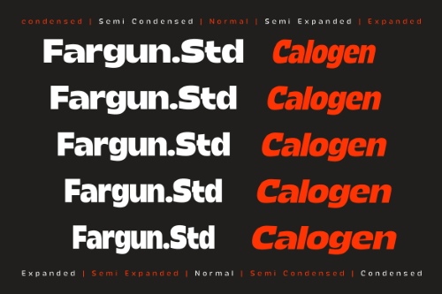 Calogen Grotesk Family - 70 Static Styles + 1 Variable Font