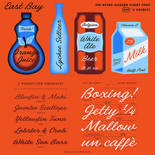 East Bay Script Typeface - 5 Styles Font Family