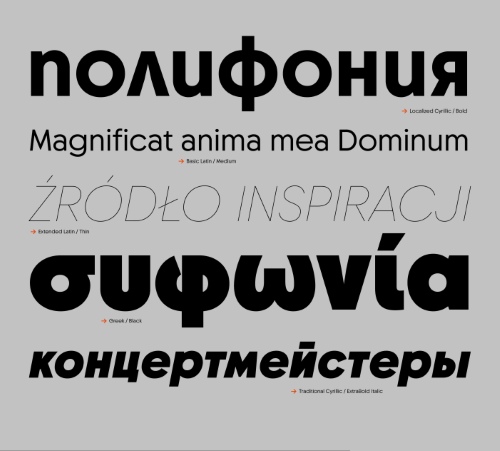 Chopin - 18 Static + 2 Variable Font Family UPDATED
