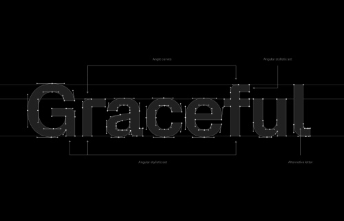 Fabric Grotesk - 18 Static Styles + 1 Variable Font NEW!