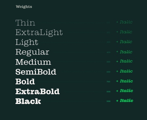 GUKA Versatile Slab - 18 Static Styles + 2 Variable Fonts NEW!