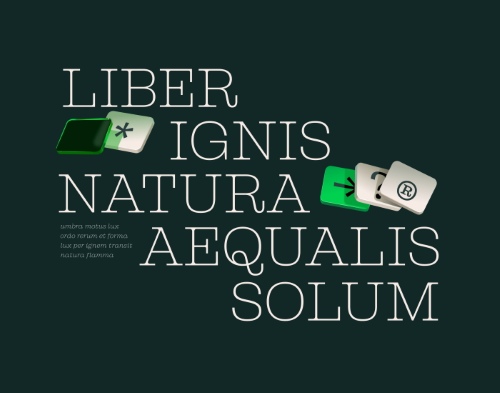 GUKA Versatile Slab - 18 Static Styles + 2 Variable Fonts NEW!