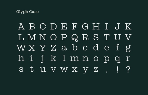GUKA Versatile Slab - 18 Static Styles + 2 Variable Fonts NEW!
