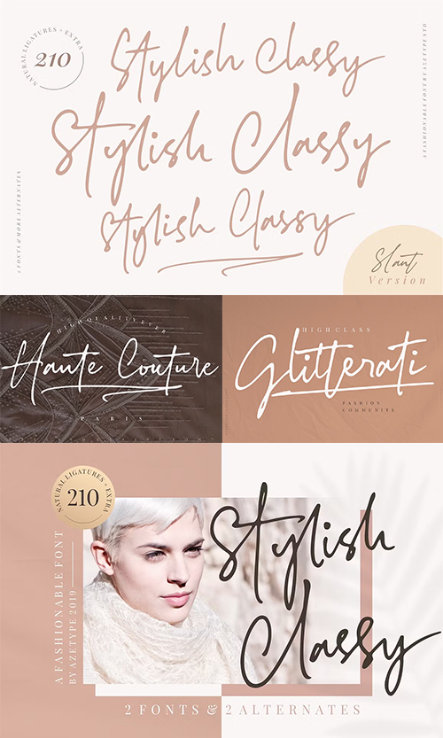 Stylish Classy 2xOTF 3476271