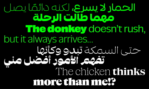NaN SuperX SANS & SERIF - 144 Styles + 5 Variable Fonts