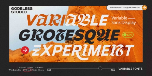 Netdyne - 14 Styles + Variable Font Family Netdyne - 14 Styles + Variable Font Family