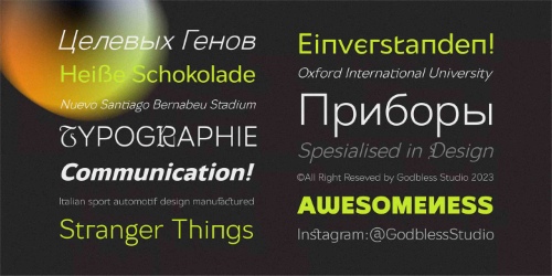 Netdyne - 14 Styles + Variable Font Family Netdyne - 14 Styles + Variable Font Family