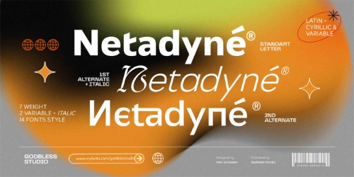 Netdyne - 14 Styles + Variable Font Family Netdyne - 14 Styles + Variable Font Family