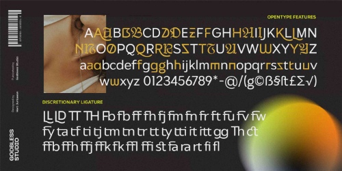 Netdyne - 14 Styles + Variable Font Family Netdyne - 14 Styles + Variable Font Family
