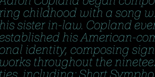 Shandon Slab - 18 Styles Font Family
