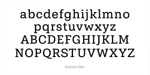 Shandon Slab - 18 Styles Font Family
